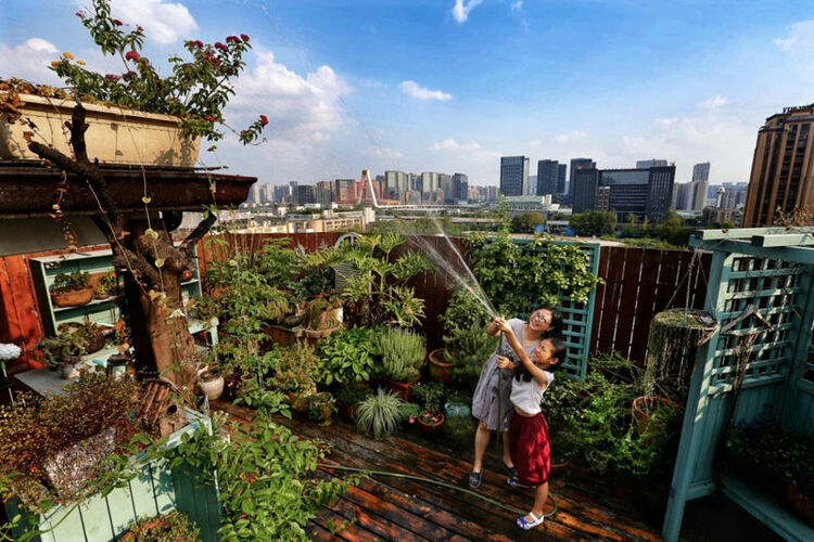 （转载）成都，未来之城的美好样本