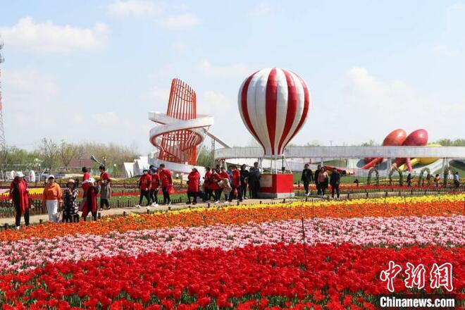 Bunga Tulip Kembang Mekar di Jiangsu_fororder_213