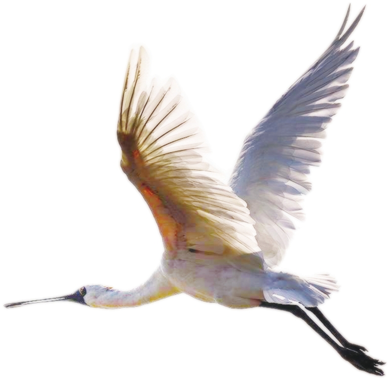 還未審核【今日焦點+摘要】【即時快訊】東方以“三創”工作推進城市治理 摘要:5年來,東方市調優做精三次産業,持續投入改善民生。 還未審核【今日焦點+摘要】【即時快訊】東方以“三創”工作推進城市治理 摘要:5年來,東方市調優做精三次産業,持續投入改善民生。