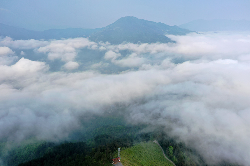 湖北保康：云雾绕青山 田园入画来