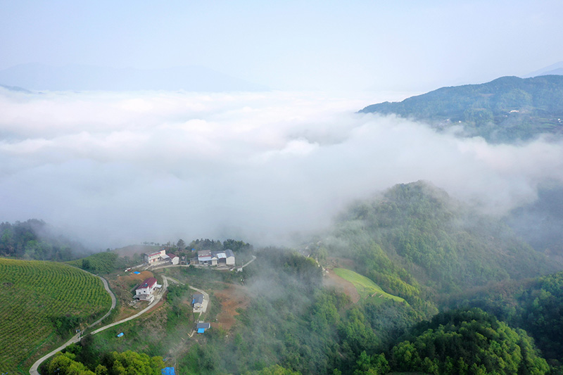 湖北保康：云雾绕青山 田园入画来