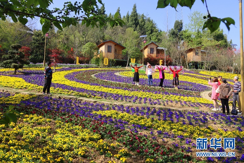 湖北宜昌：花開滿園醉遊人 “美麗經濟”富村民