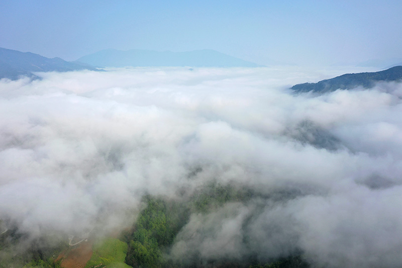 湖北保康：云雾绕青山 田园入画来