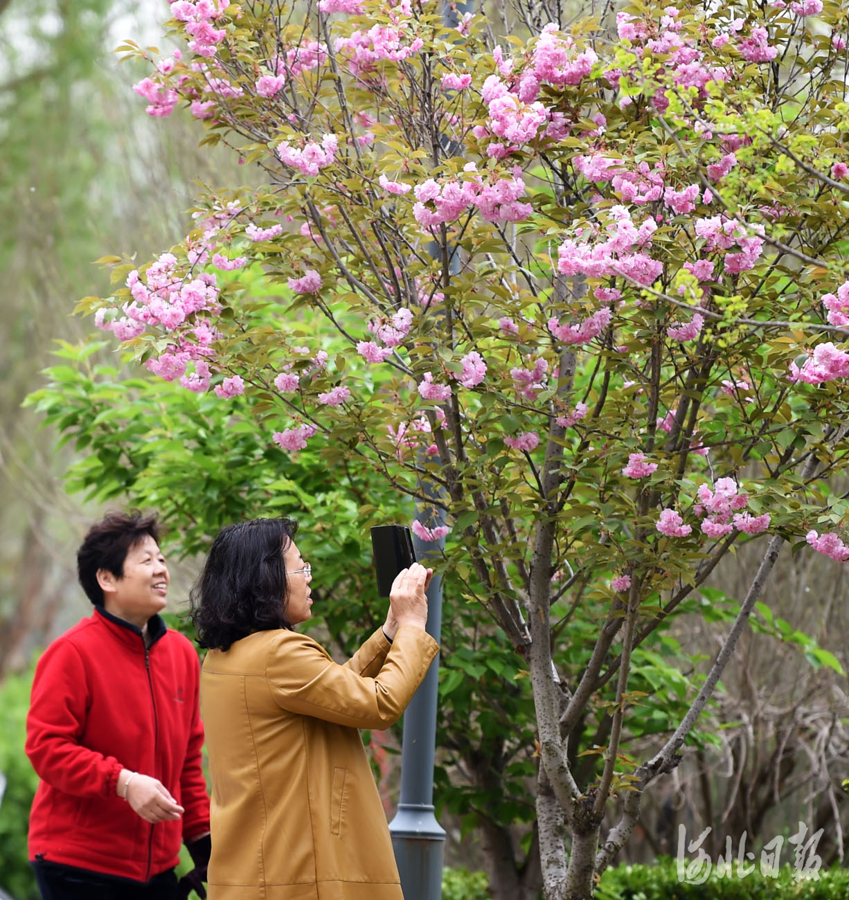 水城相依生態宜居