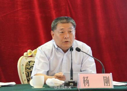 全国政协经济委员会原副主任杨刚受贿案一审获刑12年