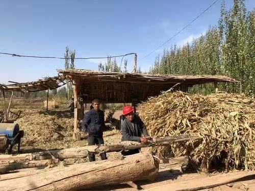 Medine Adil’in hayatı: İstediği kentlerde yaşamak_fororder_xinjiang