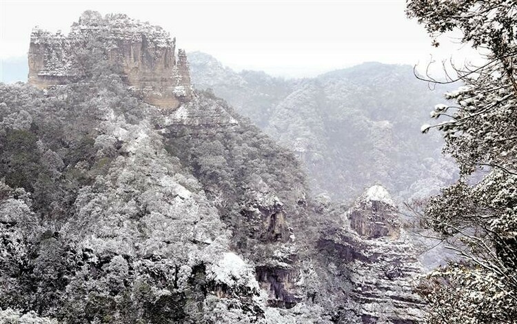 （中首）時來天地皆同力 曆盡天華成此景 ——貴州申遺之路的鏗鏘足音_fororder_3