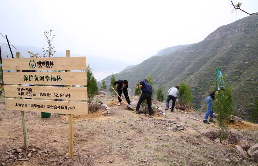 保护黄河生态：全国网友“手机种树”超6万棵落地陕西延安_fororder_51