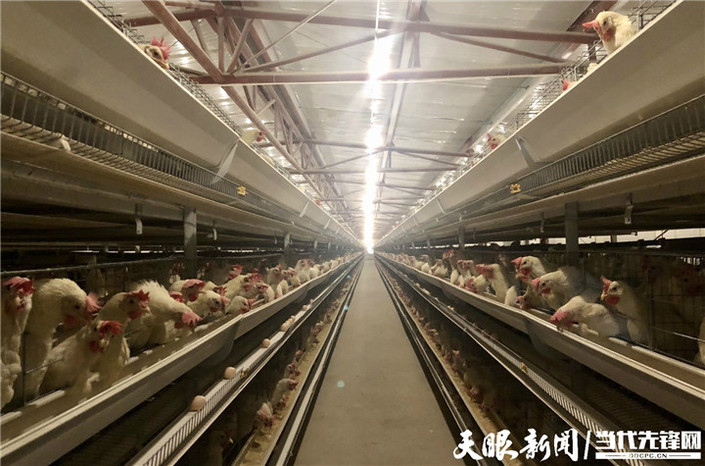 （社会）水城县：扶贫车间添底气 群众脱贫有志气