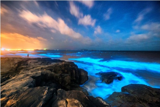 图片默认标题_fororder_首汽5