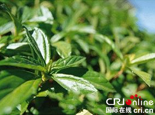 图片默认标题_fororder_6