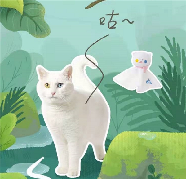 一场魔力猫盒萌宠革新风暴，让个性化情感需求落到极致