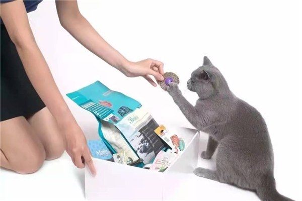 一场魔力猫盒萌宠革新风暴，让个性化情感需求落到极致