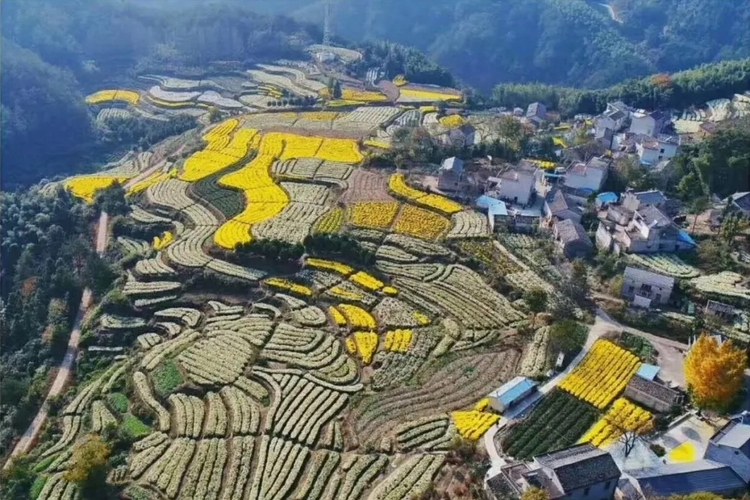 奋斗百年路 启航新征程丨绩溪：美在山水 魂在人文