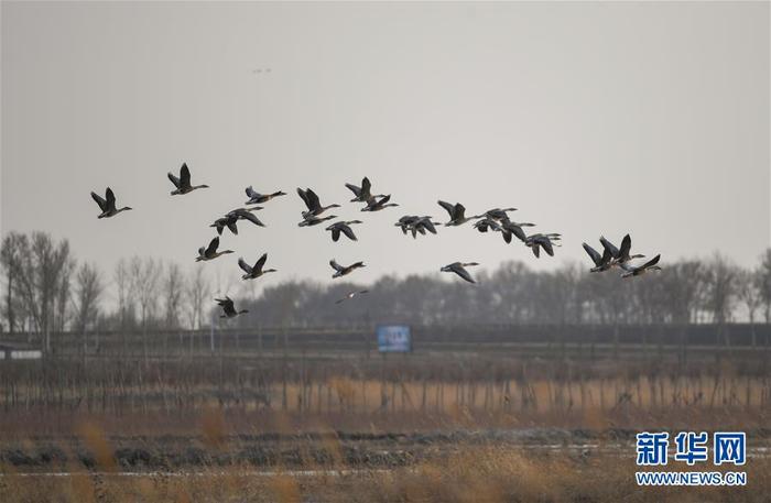 图片默认标题_fororder_2