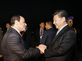 習近平會見埃及總統塞西