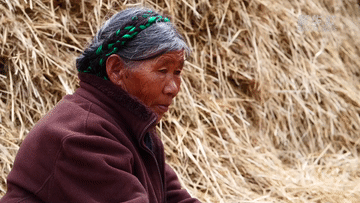 这些西藏姑娘，为什么叫卓玛？答案太美了……