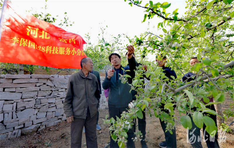 河北內丘：傳技術 促增收