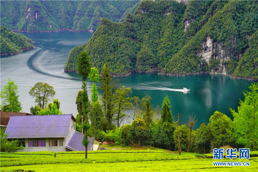 鹤峰山里人家：武陵山深处的诗画秘境