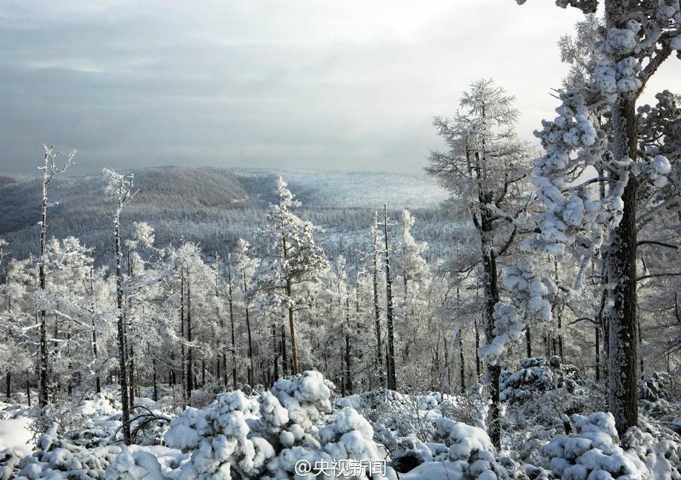 极寒、极景：零下40℃的大兴安岭林海雪原