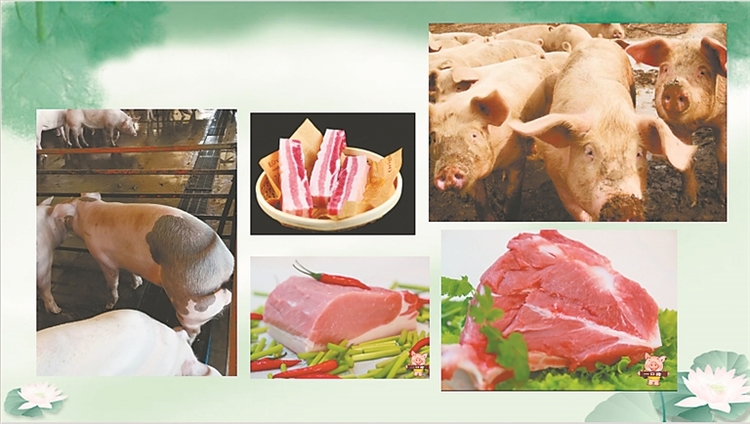 黑龍江省有望新增14個農産品地理標誌