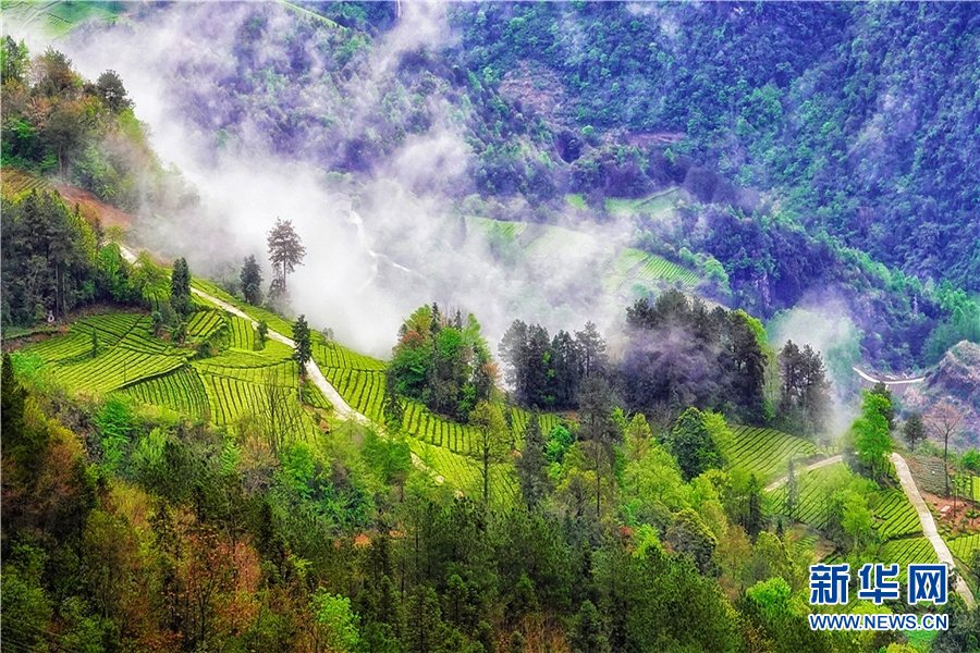 鹤峰山里人家：武陵山深处的诗画秘境