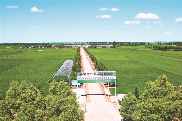 备案加公示 黑龙江绿色食品基地从严管理