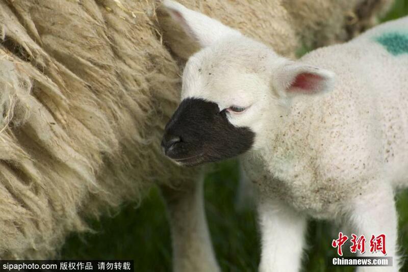 图片默认标题_fororder_cc3bb93a48fe4698b4fe5ac2985c458d