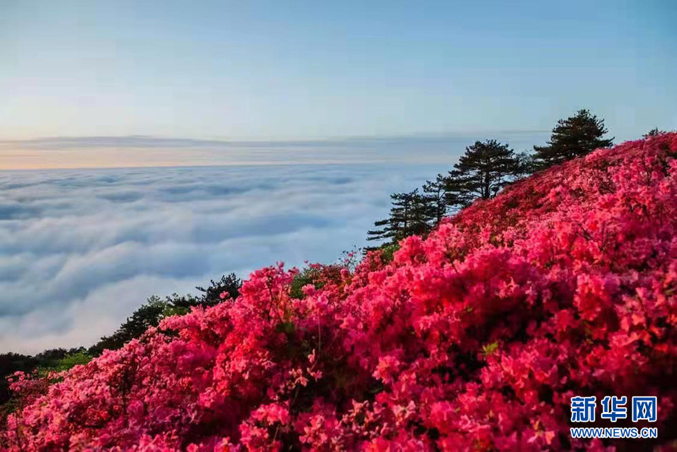 打开致富路 架起“连心桥”——最美铁路穿越大别山革命老区