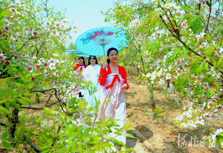 河北邱县：“以花为媒”引客来