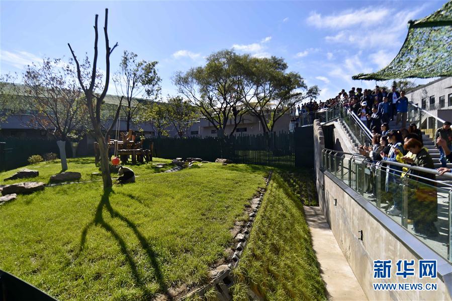 沈阳森林动物园熊猫馆正式开馆