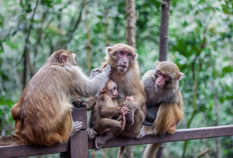 【沿着高速看中国】普洱国家公园：打造一站式森林旅游目的地