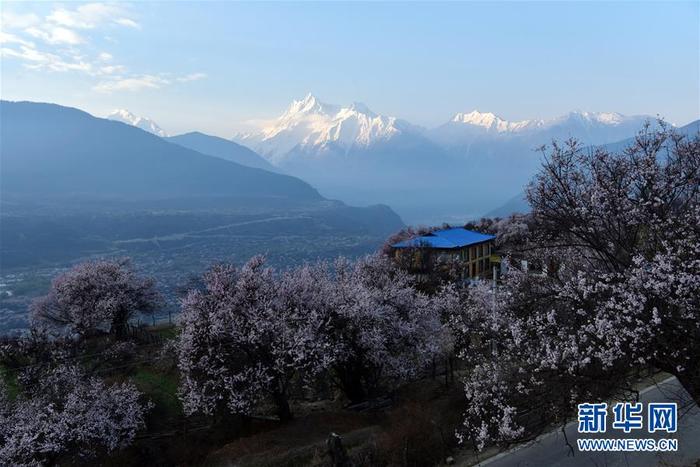 图片默认标题_fororder_2