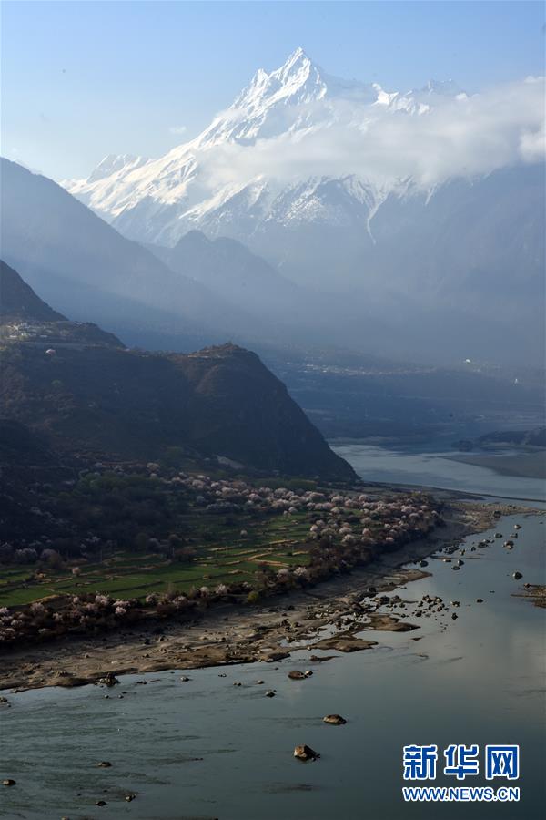 图片默认标题_fororder_7