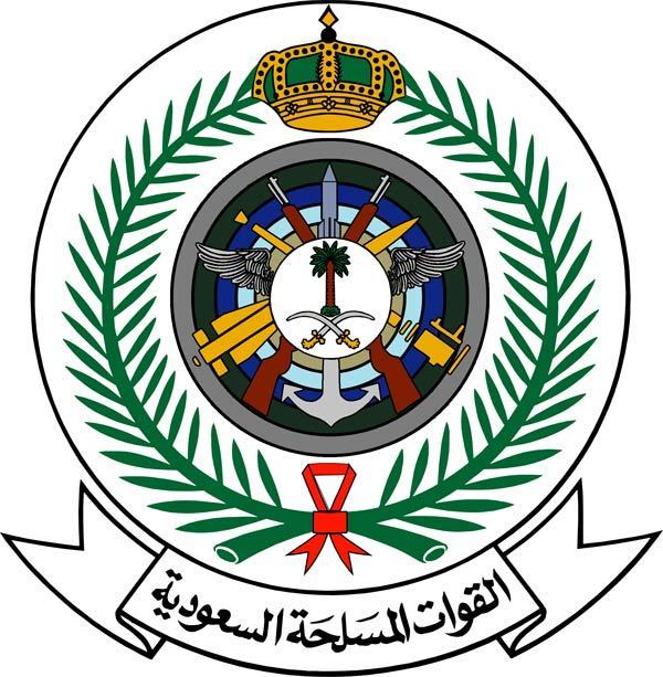 揭秘沙特别致军徽军旗 含战略导弹部队(组图)