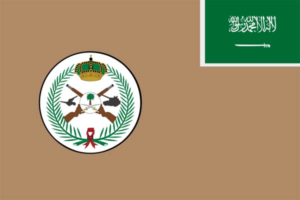 揭秘沙特别致军徽军旗 含战略导弹部队(组图)