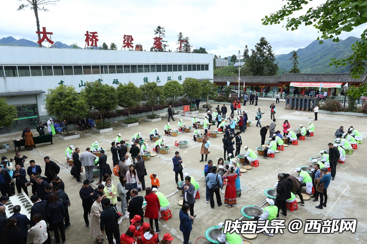 第二届陕西网上茶博会开幕 首推镇巴高山有机富硒茶