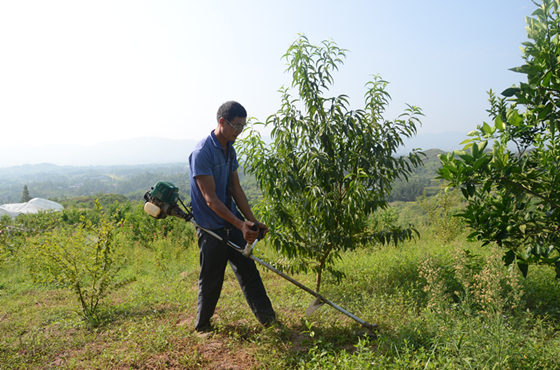 【区县联动】【梁平】梁平村民流转土地建农场 荒山上圆致富梦【区县联动 二级界面】村民流转土地建农场 荒山上圆致富梦