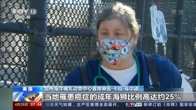 美国南加州海底惊现2万多桶状物 疑含杀虫剂的工业废料