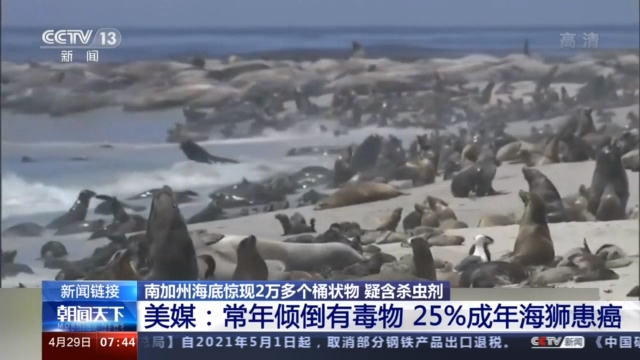 美国南加州海底惊现2万多桶状物 疑含杀虫剂的工业废料