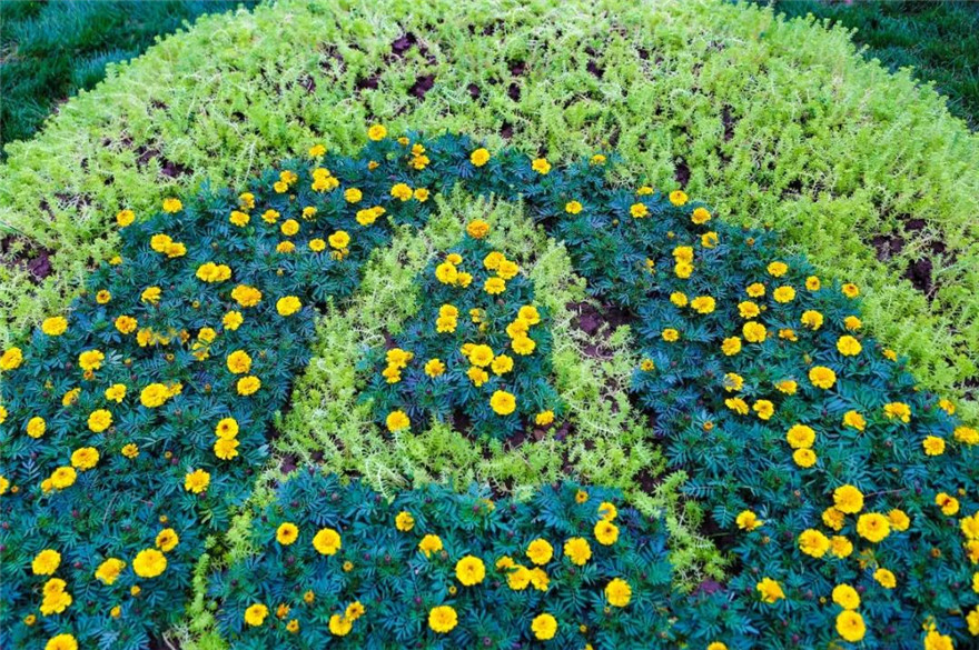 圖片默認標題_fororder_微信圖片_20210420144643