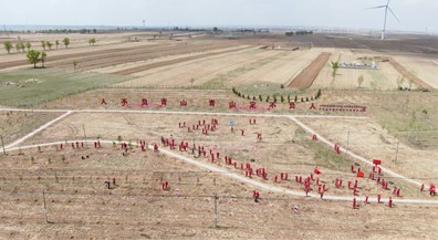 长庆油田采油六厂开展企地党建联盟“共植一片林”义务植树活动_fororder_32