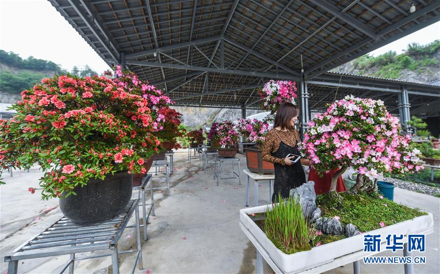 浙江湖州：废弃矿山变身“现代农业园”