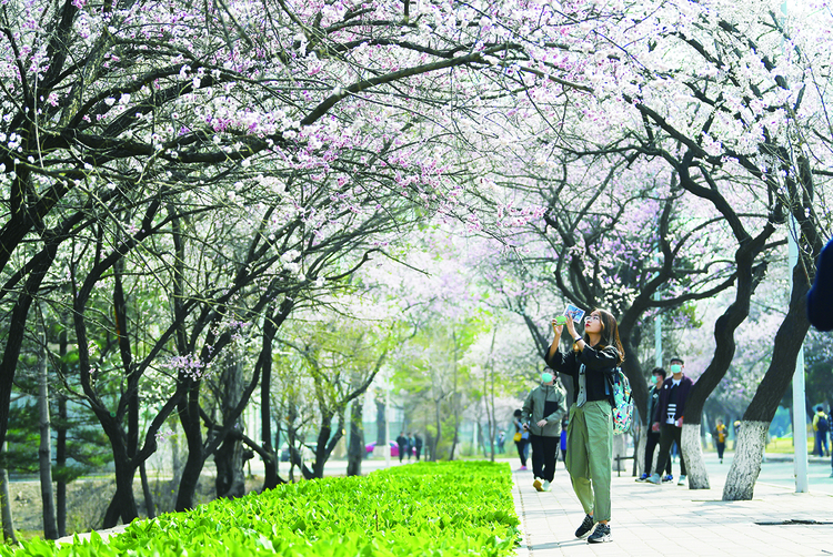 吉林大学第六届杏花文化节举办