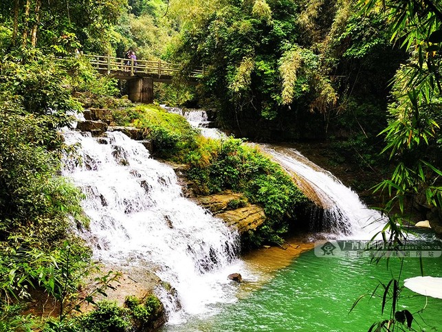 圖片默認標題_fororder_圖為5月12日,環江毛南族自治縣牛角寨景區的瀑布群吸引遊客競相遊覽。高東風攝