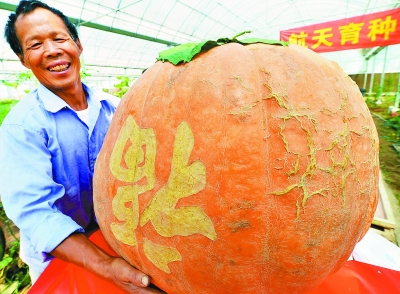 （食品图文）南京农业嘉年华在八卦洲开幕设置5个主题展区