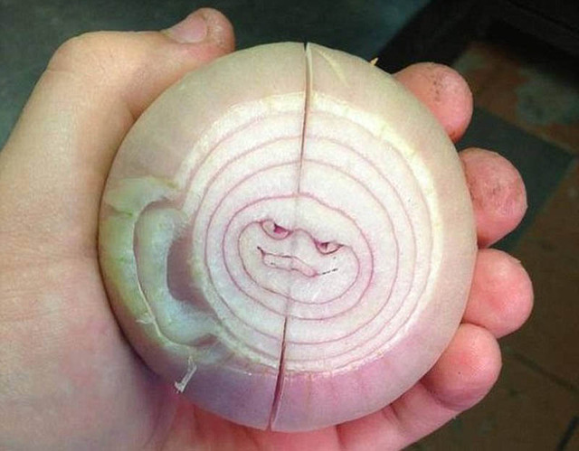 脑洞大开:家庭日用品的"邪恶表情包"(组图)