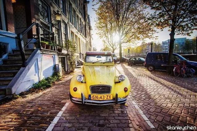 低地国家风景上的美人