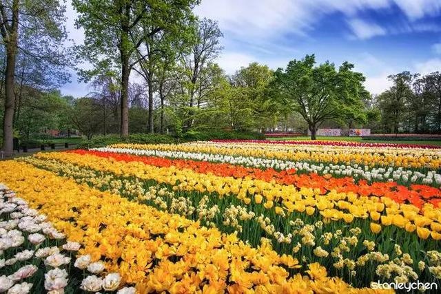 低地国家风景上的美人