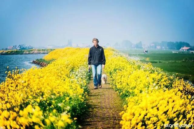 低地国家风景上的美人